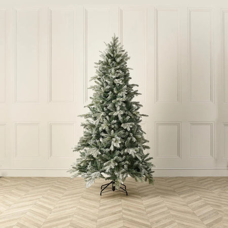 Frosted Green Sitka Spruce Christmas Tree