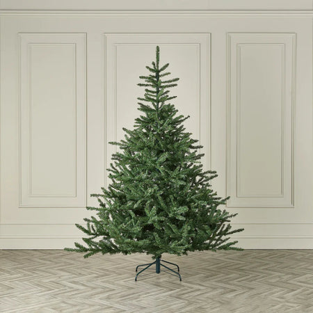 Colorado Spruce Christmas Tree